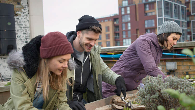 Two young women and a young man kneeling down to plant vegetables in an urban rooftop garden 