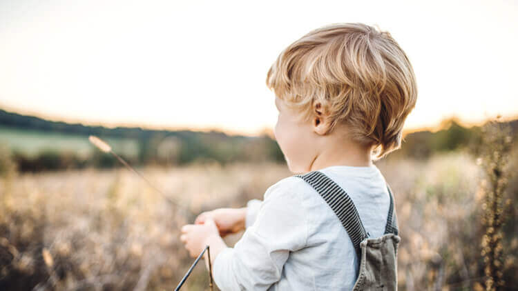 Small boy looking out into a field