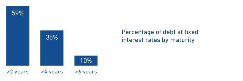 Percent of debt at fixed interest rates graph